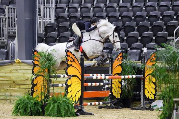 Impact Equestrian