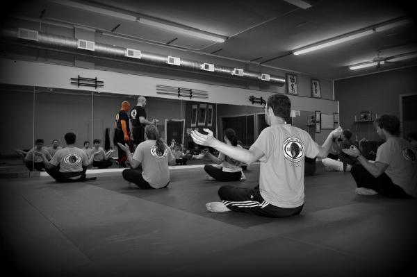 The Finger Lakes Martial Arts Center