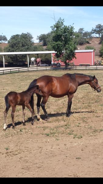 E.A. Ranch