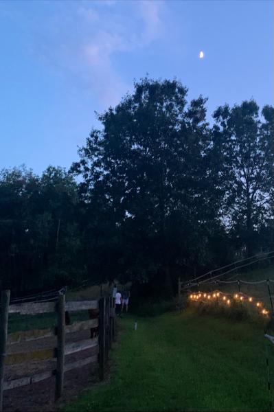 Foundations Dressage Center