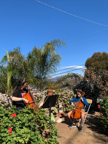 Suzuki Music Education at Crow Studios