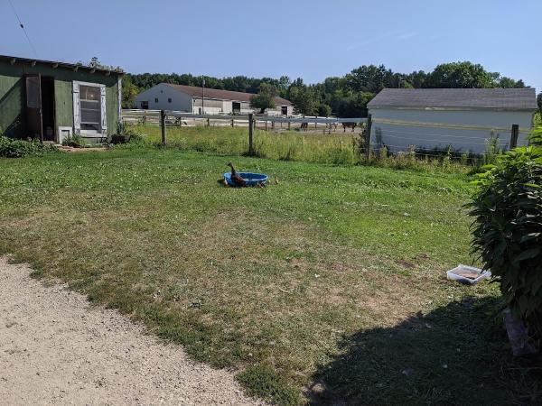 Meadowlark Equestrian Center