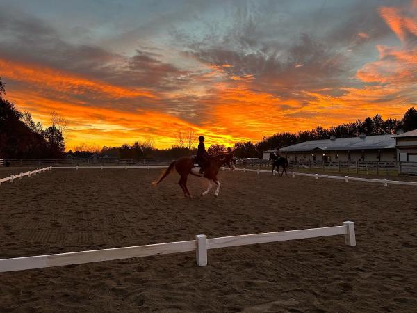 Duzan Riding Academy