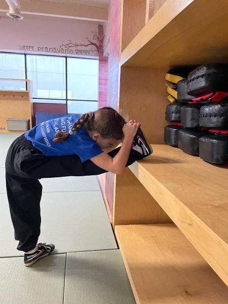 Vital Martial Arts Academy