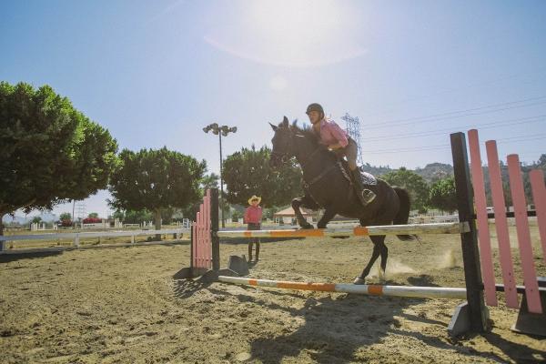 Traditional Equitation School