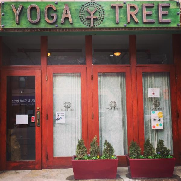 Yoga Tree