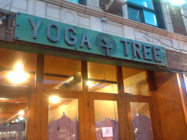 Yoga Tree