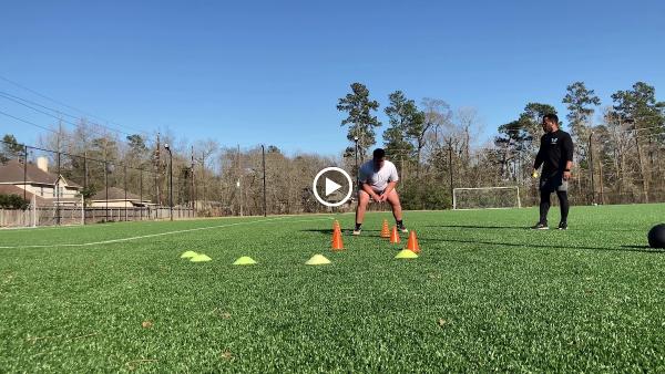 T.o.n.e. System Fitness