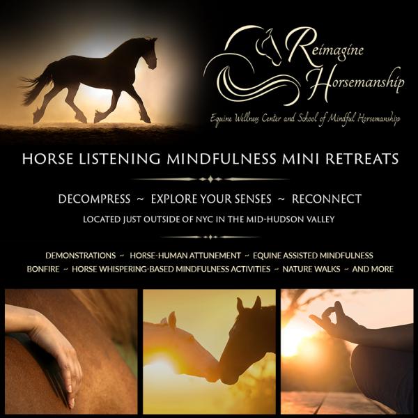 Reimagine Horsemanship