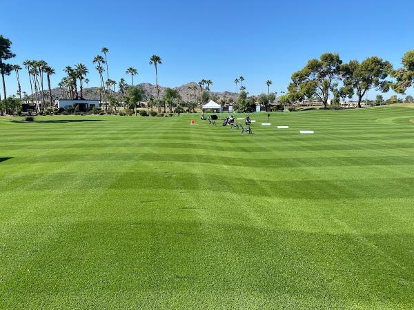 Rex Golf Instruction