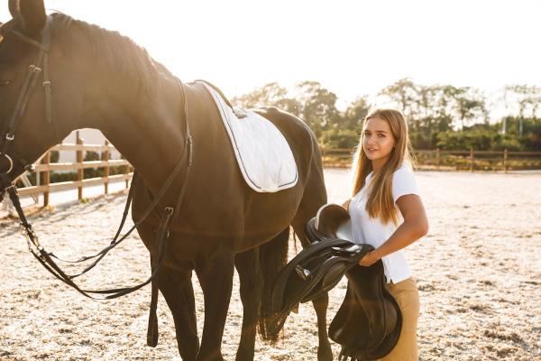 Sonoran Performance Horses