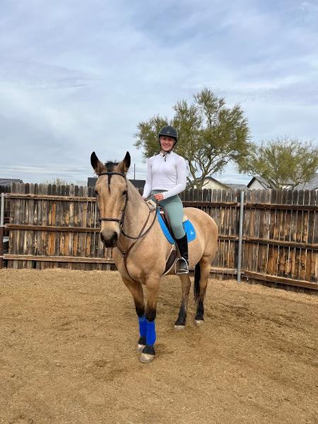 Sonoran Performance Horses