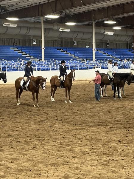 Sonoran Performance Horses