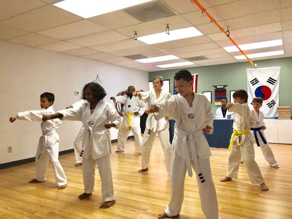 Taekwondo Wellness: Martial Arts & Fitness Classes For Kids