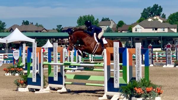 Elterra Equestrian