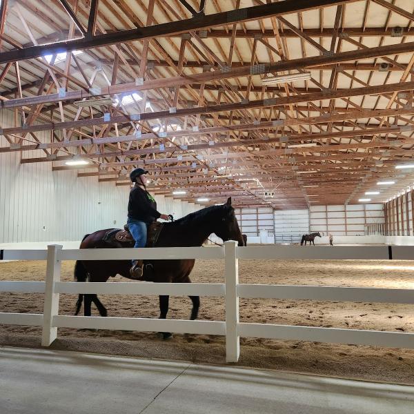Showtime Farms
