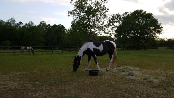 Meadowcreek Farm