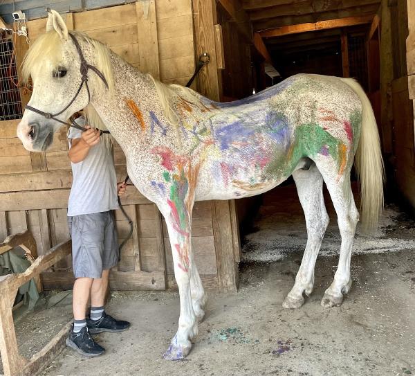 River Mountain Farm & Life Center LLC