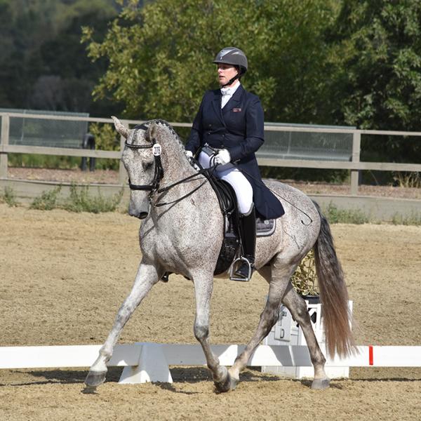 Angela Ridgway Dressage