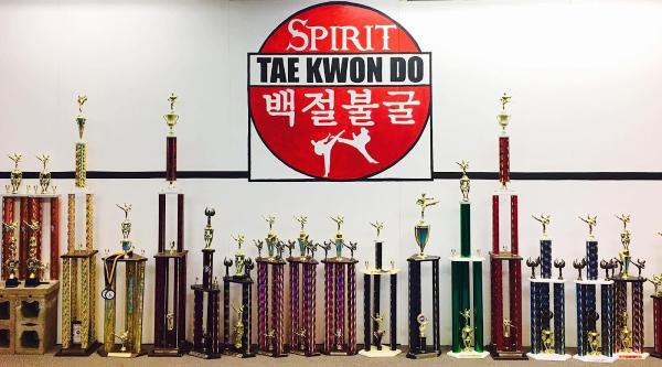 Spirit Taekwondo Saint Paul LLC