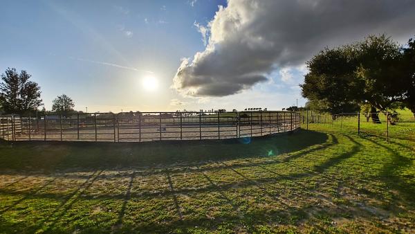 Meadow Creek Farm