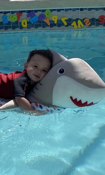 Little Shark Swim School