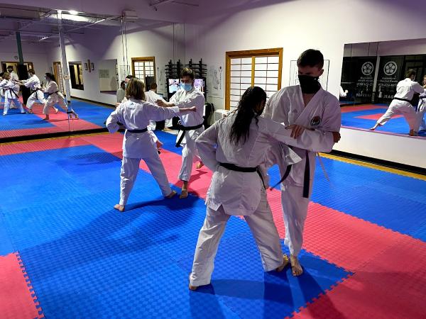 Academy of Classical Karate