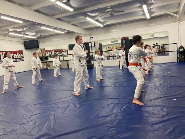 Martial Arts Training Institute