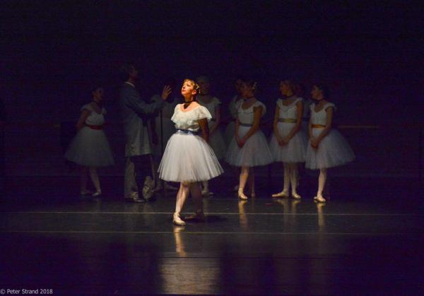 Ballet Ariel Company