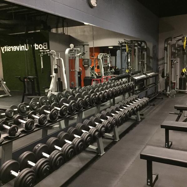 Body University Inc.