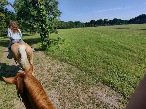 Southern Trails