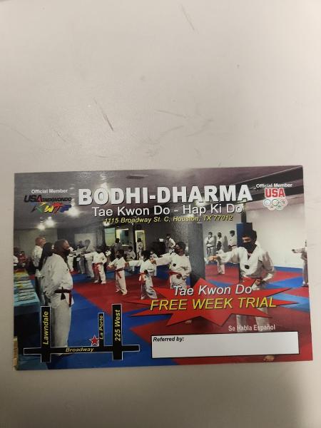 Bodhi-Dharma Taekwondo