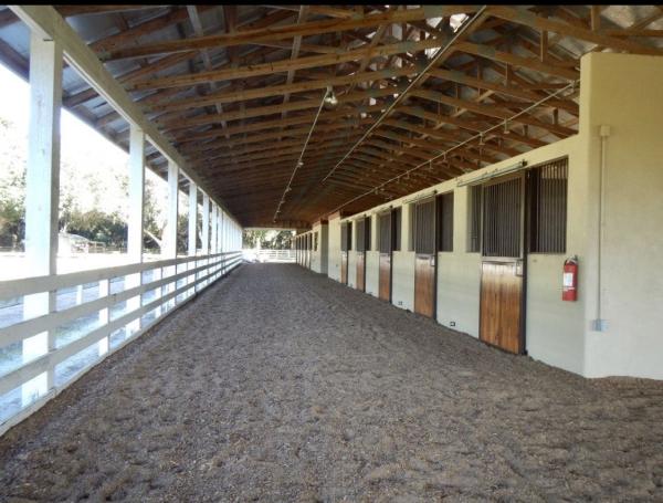 Paragon Stables