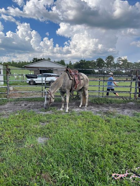 Flatwoods Equestrian Center