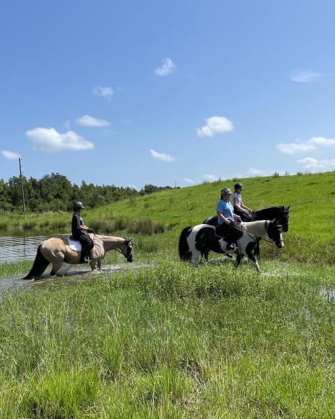 Flatwoods Equestrian Center