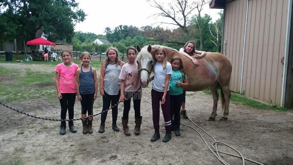 Sovereign Hill Stables