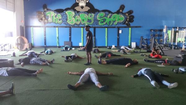 Silverback Xtreme Fitness