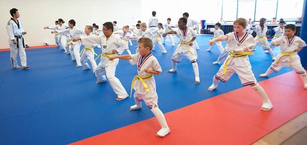 Master Shin's World Class Tae Kwon Do