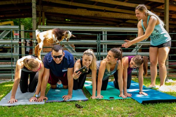 Goat Yoga Texas