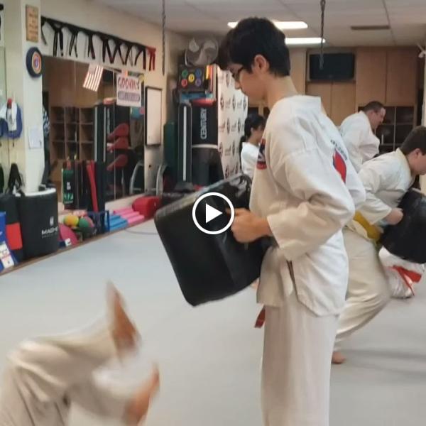 Goshin Karate & Judo Academy