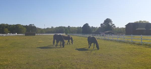 Summersett Farm