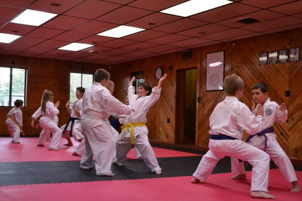Japan Karate-Do Genbu-Kai of Indiana