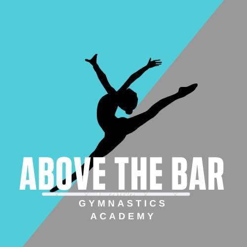 Above the Bar Gymanstics Academy NJ