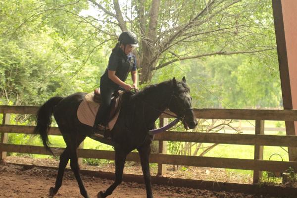 Tally Ho Farm