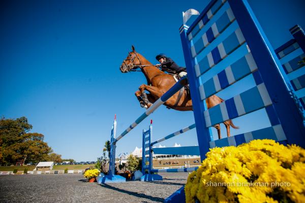 Jodi Hemry Eventing