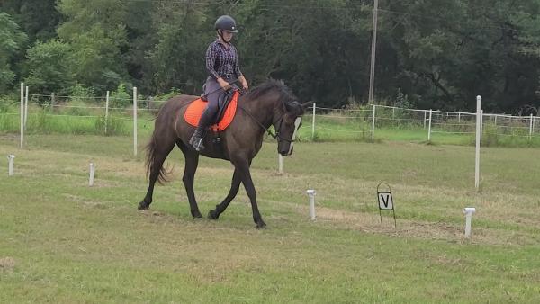 Deer Creek Equestrian Center