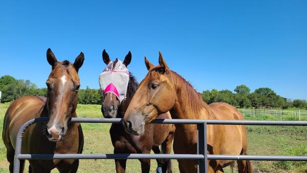 Deer Creek Equestrian Center