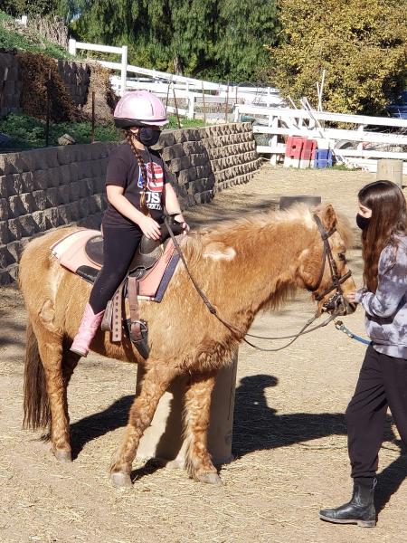 Mystic Canyon Stable