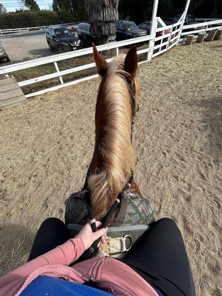 Mystic Canyon Stable