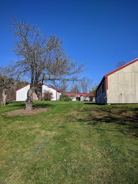 Snow Farm-New England Craft